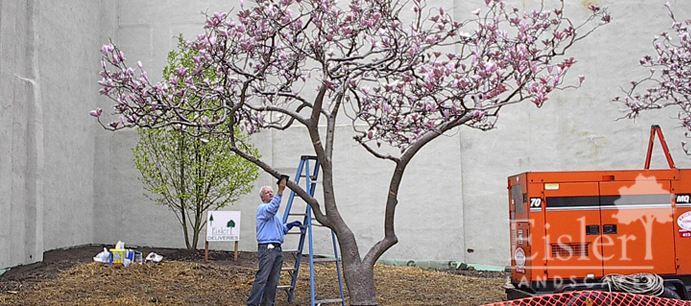 Project_Magnolia Park2.jpg